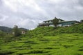 House at the tea plantation