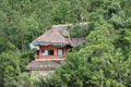 House with a thatched roof in the middle of a forest in Philippines, Negros Occidental, Sipalay