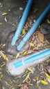 Beside the house there is a household liquid waste disposal pipe. Pipes that function to drain liquid waste to landfills