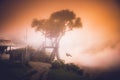 The house in the tree in BaÃÂ±os, Ecuador