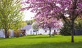 House, tree, meadow at spring time in America