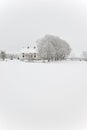 House and tree in snowstorm Royalty Free Stock Photo