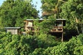 House in trees Royalty Free Stock Photo