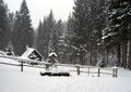 House with trees around in winter alps