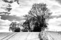 A house between trees at Faabor Fjord Royalty Free Stock Photo