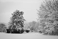 House and trees in snow in winter black and white Royalty Free Stock Photo