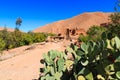 House in a typical moroccan berber village Royalty Free Stock Photo