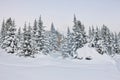 House under snow in winter wood chalet among spruce trees in the Royalty Free Stock Photo