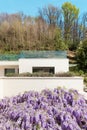 House, veranda with wisteria, top view Royalty Free Stock Photo