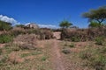 House in village of Bushmen in Africa Royalty Free Stock Photo