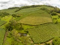 House, Vineyards and lake in valley Royalty Free Stock Photo