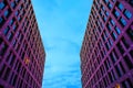 House wall, facade of building, skyscrapers with beautiful pink illumination against the background of blue sky at night Royalty Free Stock Photo