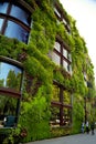 House wall overgrown with beautiful green, nature design. Paris, France