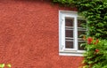 House wall overgrown with ivy, outdoor detail for background Royalty Free Stock Photo