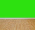 House wall painting- green background Royalty Free Stock Photo