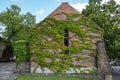 House walls covered with ivy
