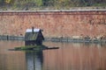 House for waterfowl floats middle lake. Royalty Free Stock Photo