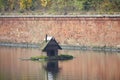 House for waterfowl floats middle lake. Royalty Free Stock Photo