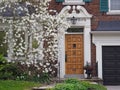 House with white magnolia tree  in bloom Royalty Free Stock Photo