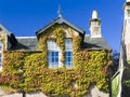 House with a white window covered with ivy, roof with slate, chimney and decorative ornaments Ã¢â¬â picture Royalty Free Stock Photo