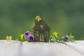 House with wild flowers on background of green nature. Eco-friendly home, gardening, real estate, ecologically pure area Royalty Free Stock Photo