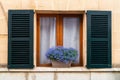 House window with shutters and flowers. Royalty Free Stock Photo