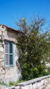 House with window stone Bush green Cyprus