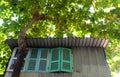 House with wooden window overshadow by big Terminalia catappa tree Royalty Free Stock Photo