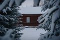 House in the woods among the trees.