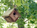 House wren on wren house Royalty Free Stock Photo