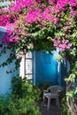 House yard garden in Greece Royalty Free Stock Photo