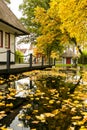 A house  with yellow leaves on trees and reflection on water in autumn day Royalty Free Stock Photo
