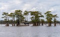 Houseboat by stumps of bald cypress trees in Atchafalaya basin Royalty Free Stock Photo