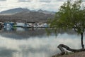 Houseboats docked at Lake Mohave and Spirit Mountain