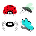 Lady bug ladybird Fly Housefly Spider Butterfly insect icon set. Baby kids collection. Colorful wings. Cute cartoon kawaii funny