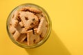 Housefly eating a biscuits, insect come on food can lead to food and waterborne diseases, Flies are summer villains