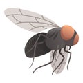 Housefly insect icon. Wildlife symbol in cartoon style. Scary insect. Graphic design element. Entomology closeup color