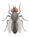 Housefly insect icon. Wildlife symbol in cartoon style. Scary insect. Graphic design element. Entomology closeup color