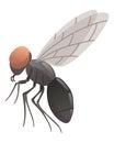 Housefly insect icon. Wildlife symbol in cartoon style. Scary insect. Graphic design element. Entomology closeup color