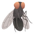 Housefly insect icon. Wildlife symbol in cartoon style. Scary insect. Graphic design element. Entomology closeup color