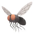 Housefly insect icon. Wildlife symbol in cartoon style. Scary insect. Graphic design element. Entomology closeup color