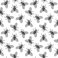 Seamless pattern with Housefly. Vector illustration of an insect on a white background.