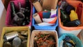 Household bins for waste sorting in the kitchen. Multicoloured Bins. Recycle. Plastic, paper packaging, coloured or Royalty Free Stock Photo