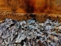 household cardboard trash burnt ashes