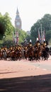 The Household cavalry band