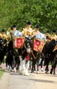 The Household Cavalry Band Royalty Free Stock Photo