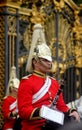 The Household Cavalry Band Royalty Free Stock Photo