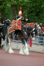 The household Cavalry Band