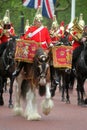 The household Cavalry Band