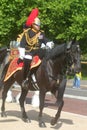 The Household Cavalry Band Royalty Free Stock Photo